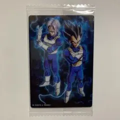 イタジャガ ドラゴンボール Vol.8 N 8-02 ベジータ&トランクス