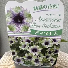 玲雪様 リクエスト 3点 まとめ商品