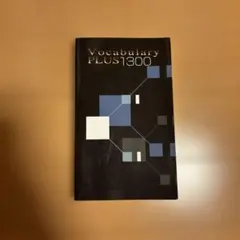 Vocabulary PLUS 1300