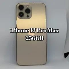 iPhone13 Pro Max 256GB