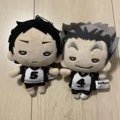 2026年最新】赤葦 にとたん ぬいぐるみの人気アイテム - メルカリ