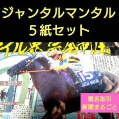①１１月２４日　スポーツ新聞　競馬　マイルCS ジャンダルマン　５紙セット