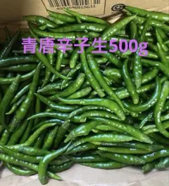 長野県産 大地自然成熟 激辛 辣妹子 青唐辛子 1kg - メルカリ