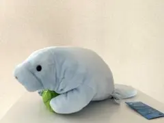 美ら海水族館 ぬいぐるみ