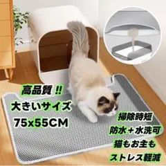 Item thumbnail for item c788f949-c0b1-4267-9b79-856492d0b596