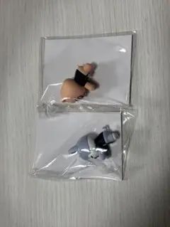 straykids スキズ FCくじ Ｄ賞 バンチャン ハン ウルフチャン