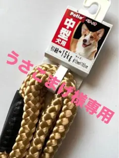 Item thumbnail for item ca486570-758f-470a-b1d1-3ca5348d6553