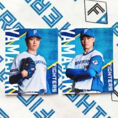 Maki様 リクエスト 2点 まとめ商品