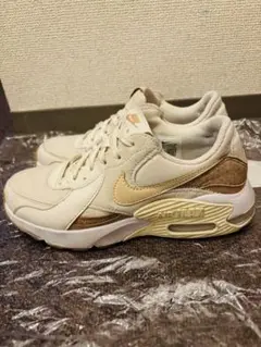 エクシー 24