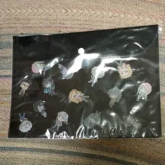 鬼滅の刃 柱全員のソフトケース クリアファイル フラットポーチ