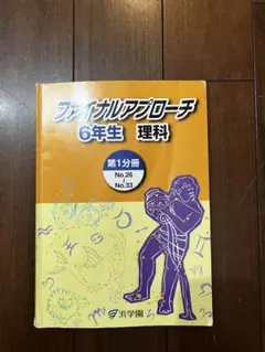 《値下げ》浜学園　小6 理科　ファイナルアプローチ　テキスト