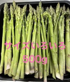 山形県産アスパラガスのサムネイル