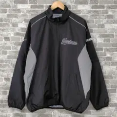 Item thumbnail for item 2c5ab2bf-1818-450d-965c-33c4dbd4015c