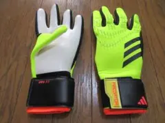 Item thumbnail for item c564b6fd-deab-4e93-a2b5-3858458a307d