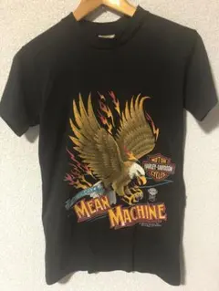 Item thumbnail for item bc128970-d16e-466a-a2c7-9c308d9185e2