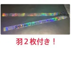 SnowMan Dome Tour 2025-2026 ON 銀テ