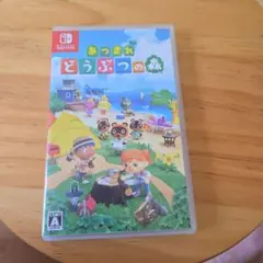 あつまれどうぶつの森　Switch