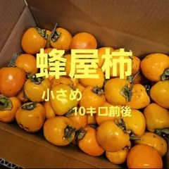 ★蜂屋柿 10kg 230g前後