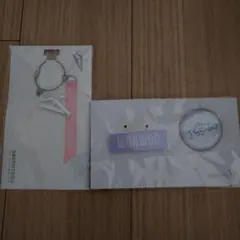 SEVENTEEN SVT ドームツアー　グッズ　ウォヌ