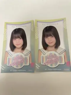 Item thumbnail for item f148e531-0863-43fc-97ed-fab979790112