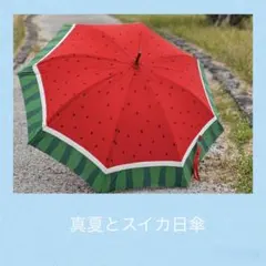 完売品⭐︎新品⭐︎TOCCAトッカ晴雨兼用UVカット100%折り畳み傘 収納