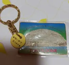 Item thumbnail for item f02706c4-13d8-4086-8889-03f9075dd5a9