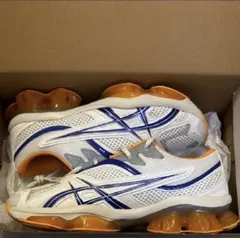 Kiko Kostadinov Asics Gel-Quantum 25.25