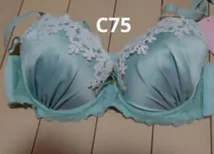 ブルーミント様 リクエスト 2点 まとめ商品