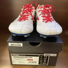 Item thumbnail for item 1a2c28fb-237d-4c57-899a-92206b1f7058