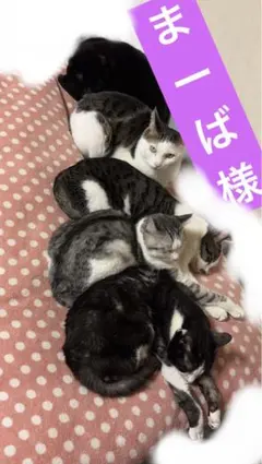 まーば様 リクエスト 7点 まとめ商品