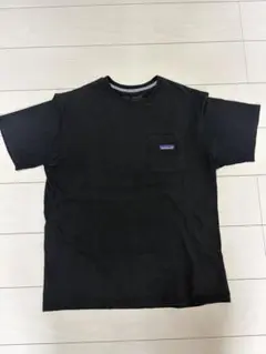 patagonia Tシャツ