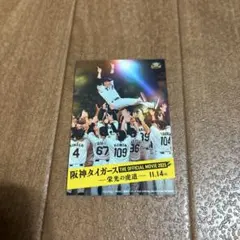 阪神タイガース　栄光の虎道　ステッカー