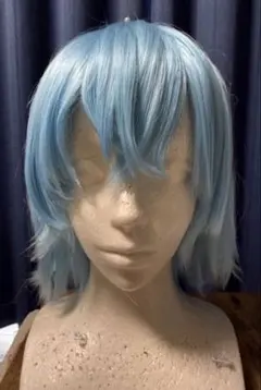 ポケモン コスプレ フシギダネ ウィッグ - メルカリ