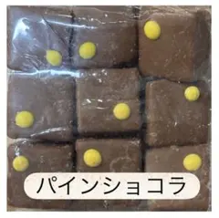 ロイスダール アウトレット パインショコラ