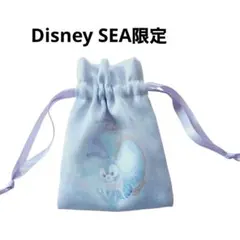 み*ー様 ディズニーシー限定⭐ ダッフィーとフレンズ ステラルー 巾着