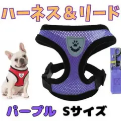 Item thumbnail for item ef5eeb99-6742-4756-a730-d00ee1e5b6cc