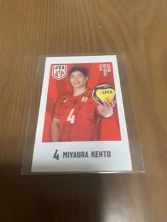 バレーボール男子日本代表 キャラポトレ宮浦健人選手