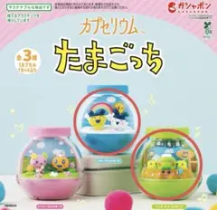 たまごっち カプセリウム まめっち　くちぱっち　2個セット