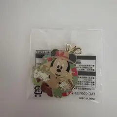 ディズニーリゾート　ジャングルカーニバル