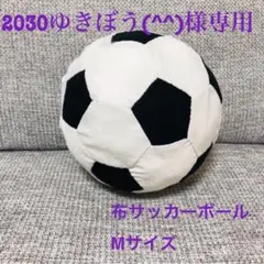 2030ゆきぼう様専用　布サッカーボール　Mサイズ