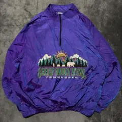 ハーフジップ　ナイロンジャケット　プリント　古着