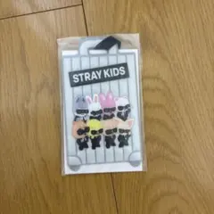 StrayKids RUN IT JAPAN アプグレ 特典 ラゲッジタグ - メルカリ
