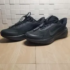 HL474】ナイキ NIKE ウィメンズ ペガサス イージーオン - メルカリ