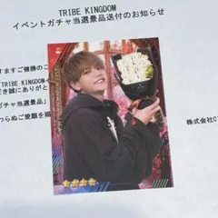 中島颯太 トラキン トレカ