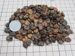 Item thumbnail for item 0099137a-21f1-44fa-89f0-f5d5bd87824c