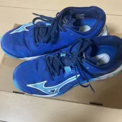 Mizuno バレーボールシューズ ウエーブライトニング Z8 24.5