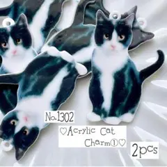 ♡no.1302ねこのアクリルチャーム①♡ネコ猫レトロ動物黒猫ペット夏海