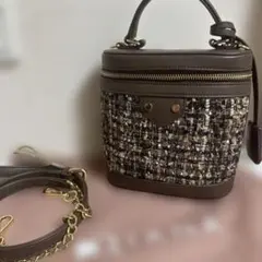 極美品　DIANA ダイアナ ツイードバニティバッグ ショルダーバッグのサムネイル
