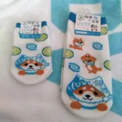 豆柴×阿波 ご当地限定ソックス　大人用＆子供用セット