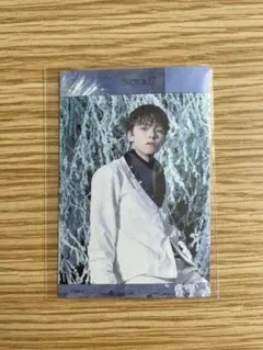 SEVENTEEN SECTOR17 バーノン ステッカー